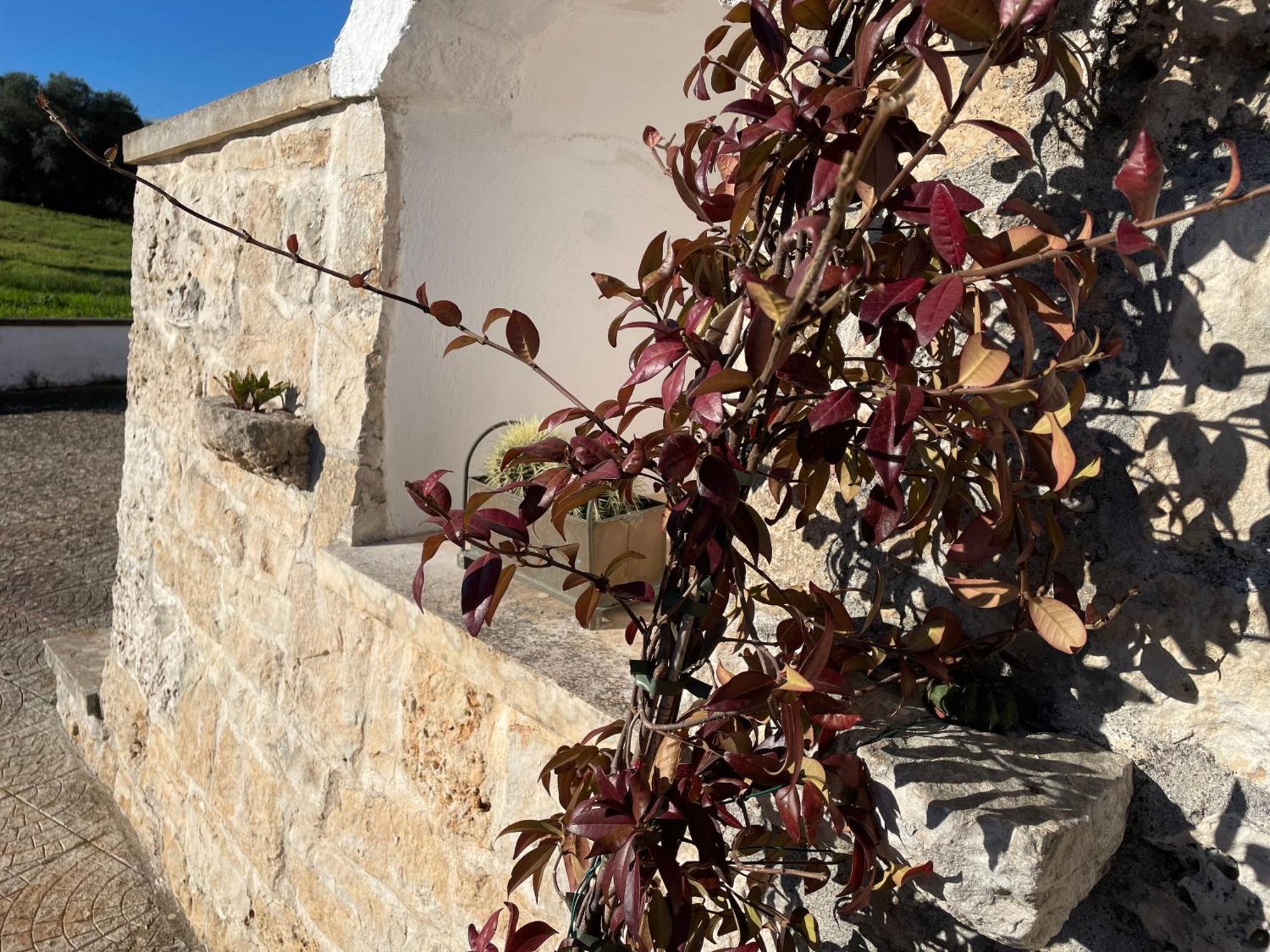 Trulli Del Sole Vila Martina Franca Exterior foto